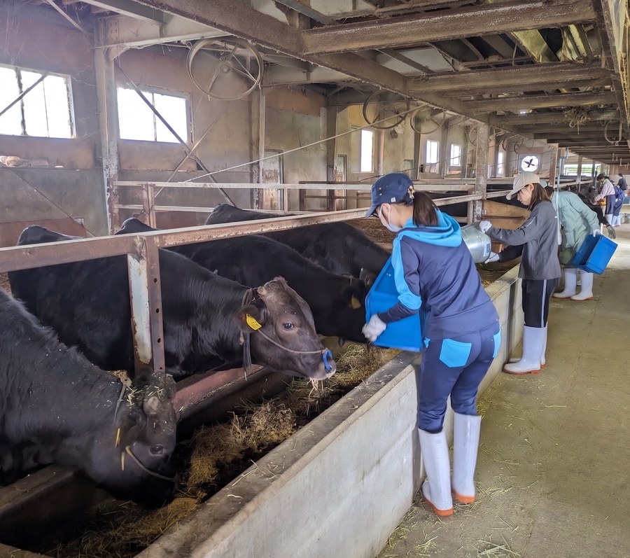応用動物学コース 坂井みなみさんの写真