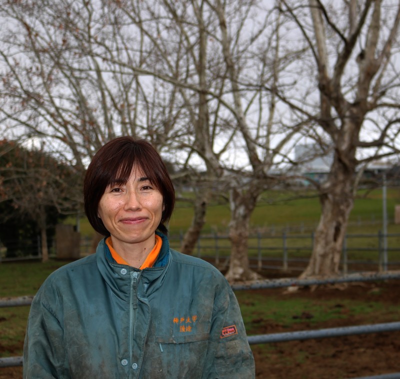 生物生産技術班 畜産系 渡辺優子主任の写真