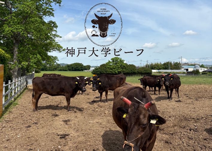 神戸大学ビーフ販売開始（第2弾）